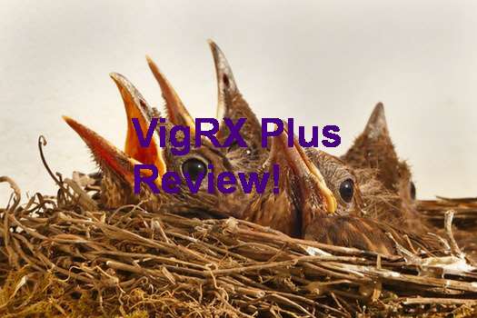 VigRX Plus Comprar En Panama