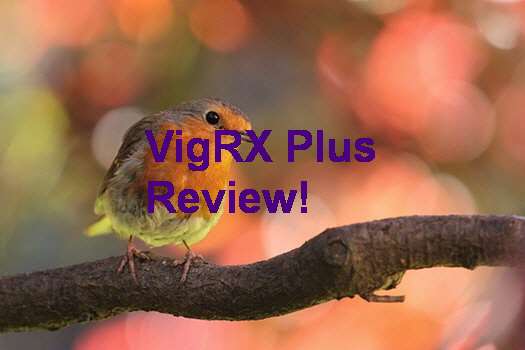 VigRX Plus Price In Pak
