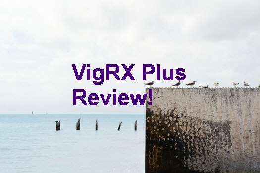 Harga VigRX Plus Oil