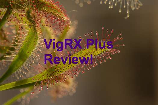 VigRX Plus How Many Inches