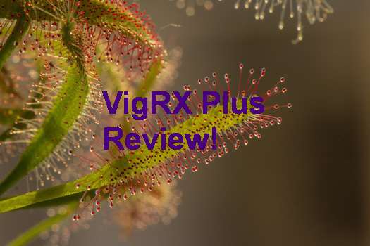 VigRX Plus Review Australia