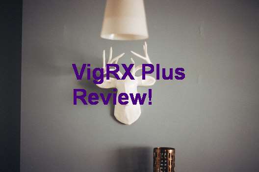 VigRX Plus What To Expect