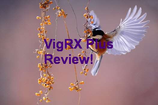 VigRX Plus Review Pictures