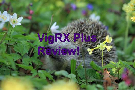 VigRX Plus Coupon