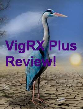 Are The Results Of VigRX Plus Permanent