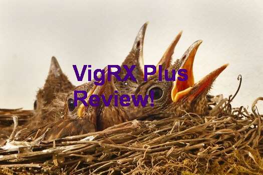 VigRX Plus Questions