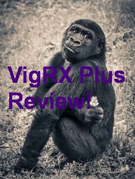 VigRX Plus World's Leading Male Enhancement